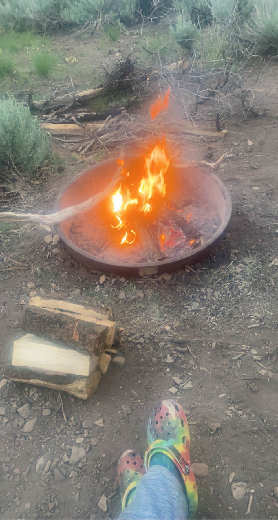 Camper submitted image from Manti-LaSal National Forest Nizhoni Campground - 4