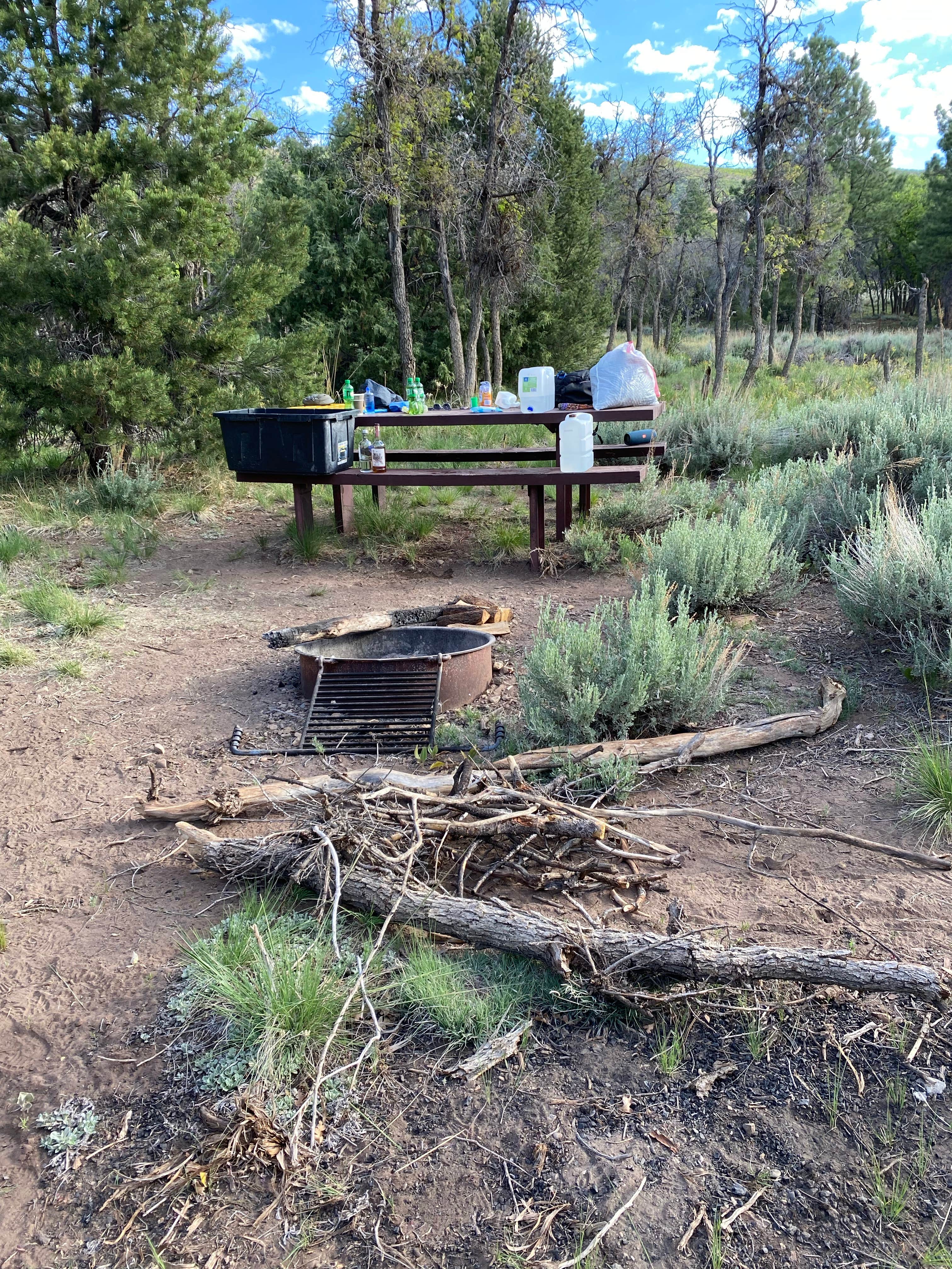 Camper submitted image from Manti-LaSal National Forest Nizhoni Campground - 4