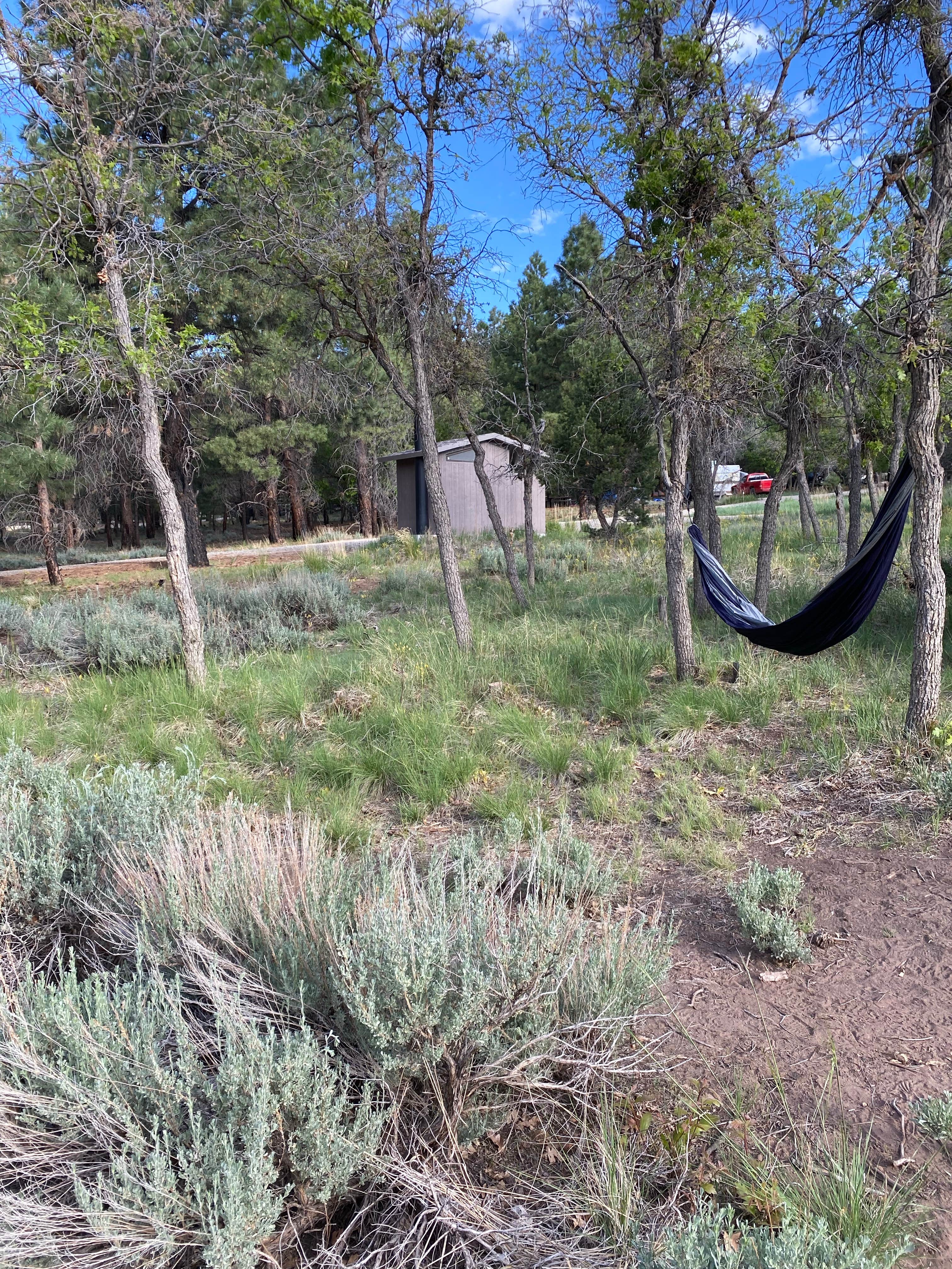 Camper submitted image from Manti-LaSal National Forest Nizhoni Campground - 3