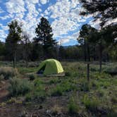 Review photo of Manti-LaSal National Forest Nizhoni Campground by Lexi G., June 4, 2021