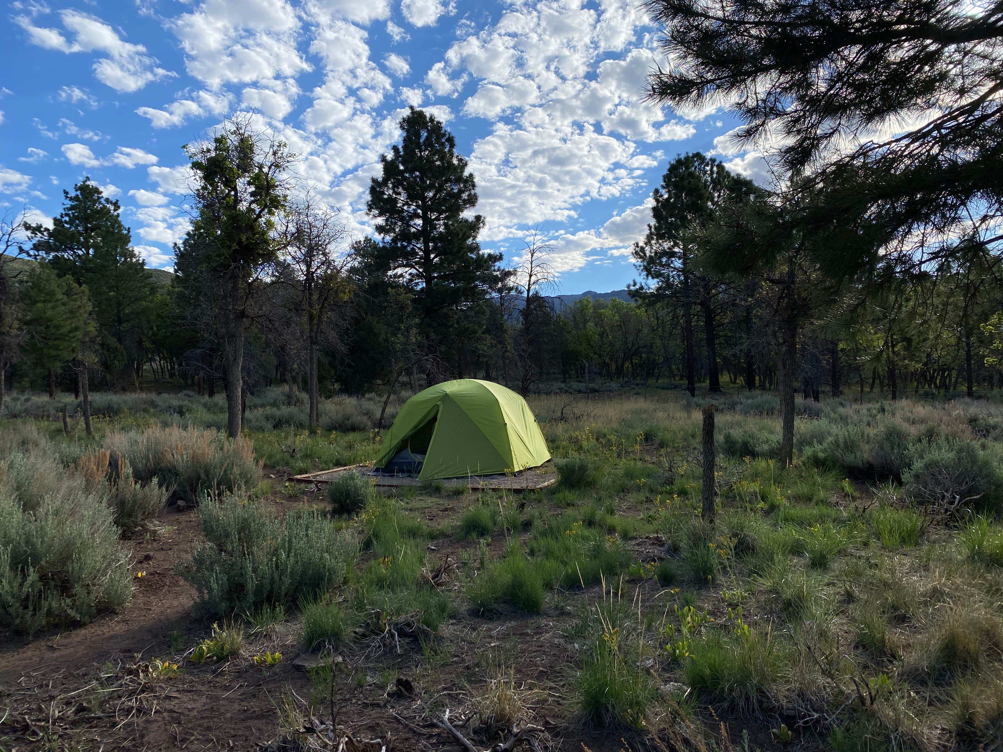 Camper submitted image from Manti-LaSal National Forest Nizhoni Campground - 5