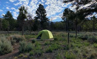 Lexi G.'s photo at Manti-LaSal National Forest Nizhoni Campground near Blanding, UT