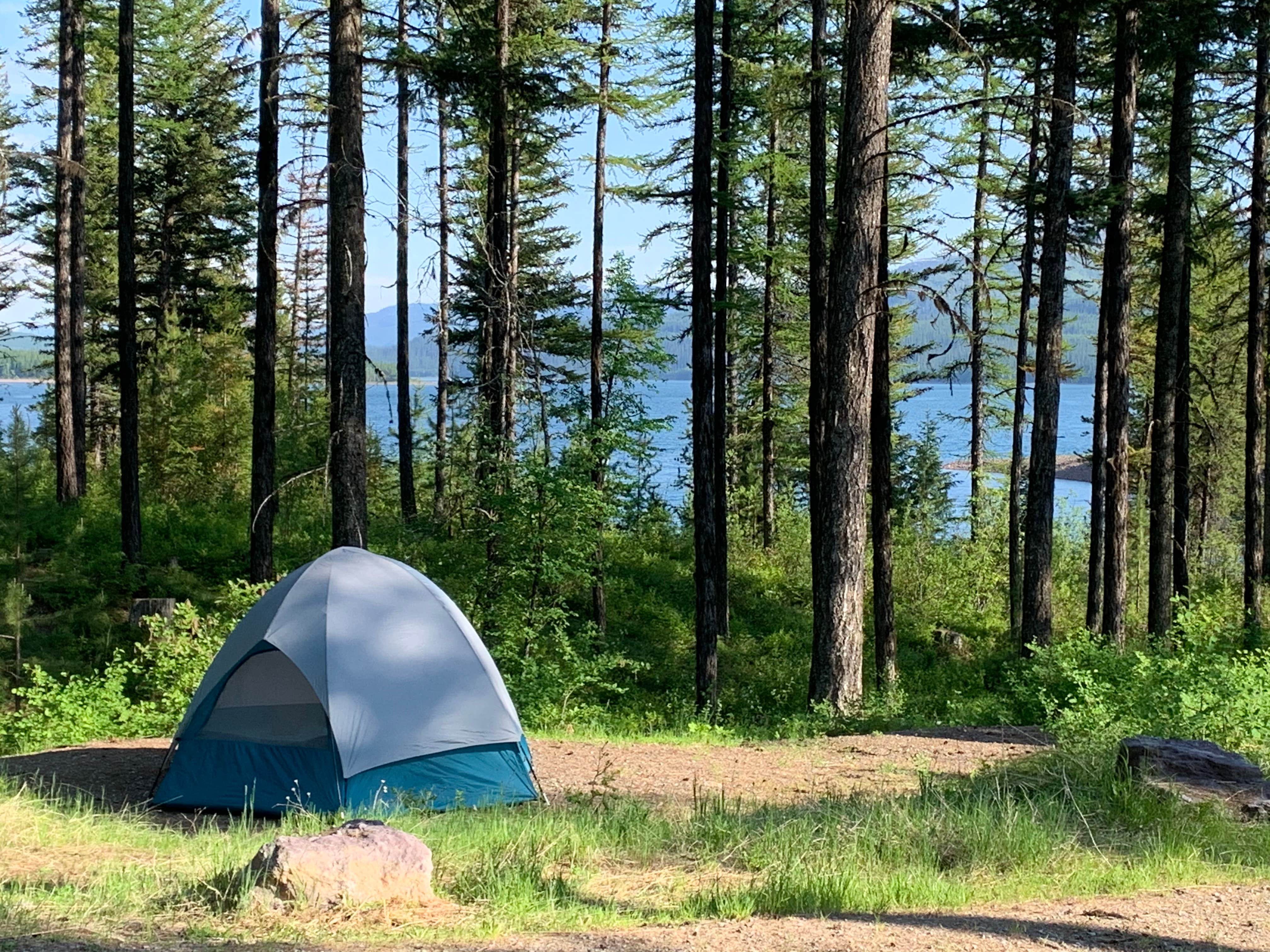 Camper submitted image from Murray Bay Campground (MT) - 5