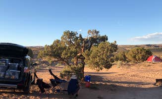 Donella L.'s photo at Utahraptor State Park Campground in Utah