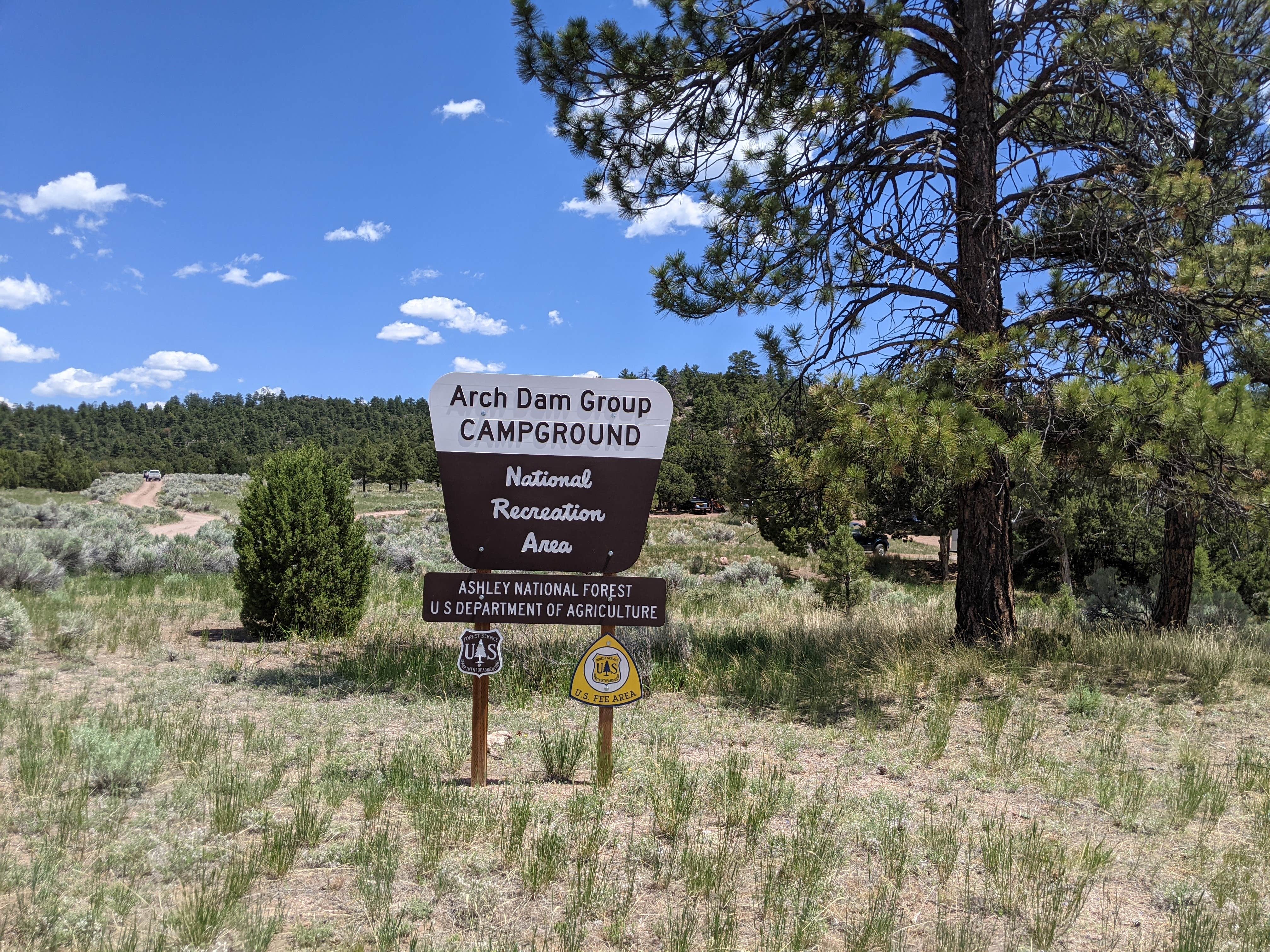 Camper submitted image from Arch Dam Campground - 5