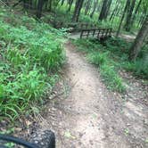 Review photo of Tyler State Park Campground by Chris C., June 4, 2021