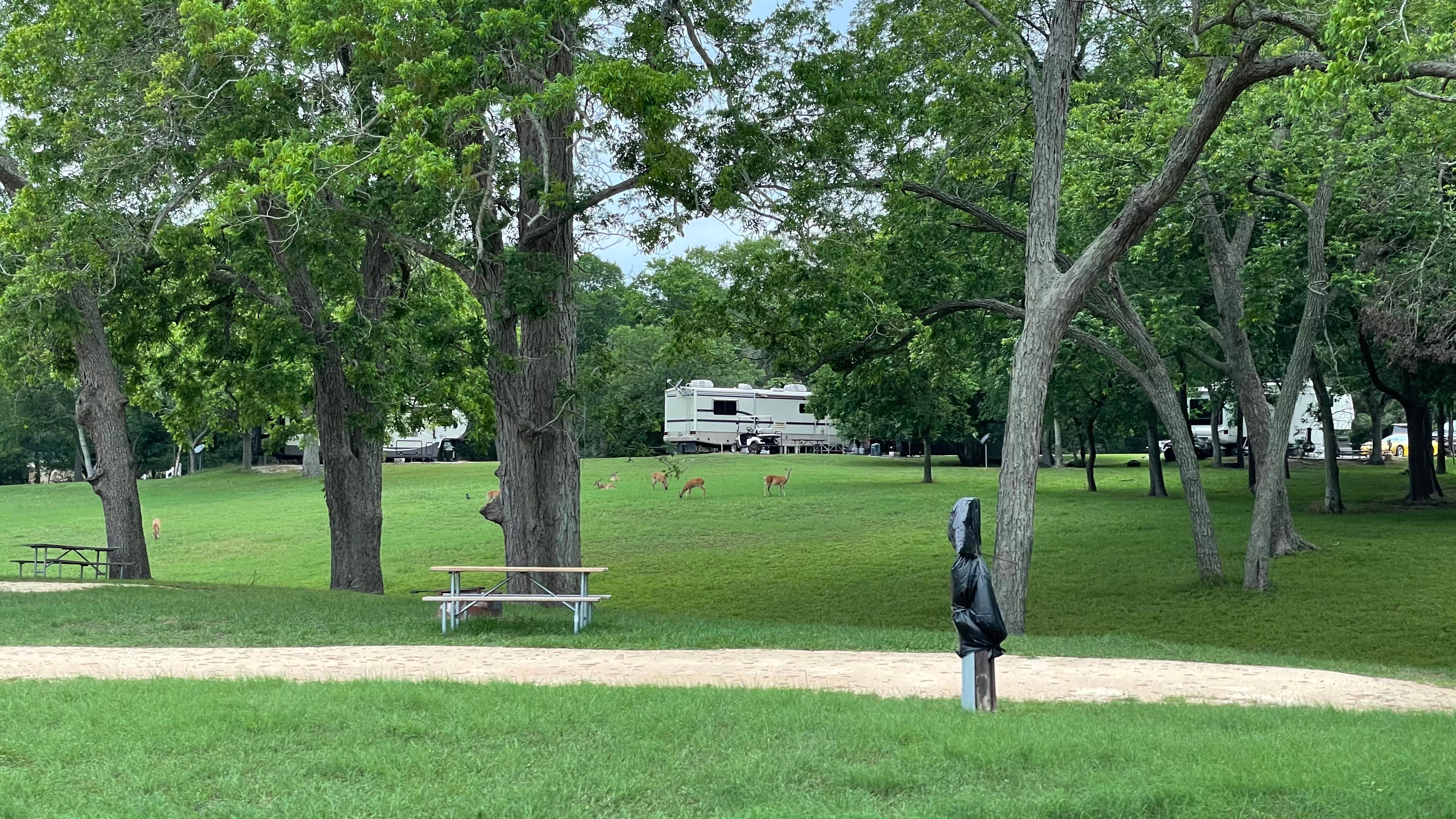Keisha D.'s photo of rv camping at Thousand Trails Colorado River near Wharton, TX