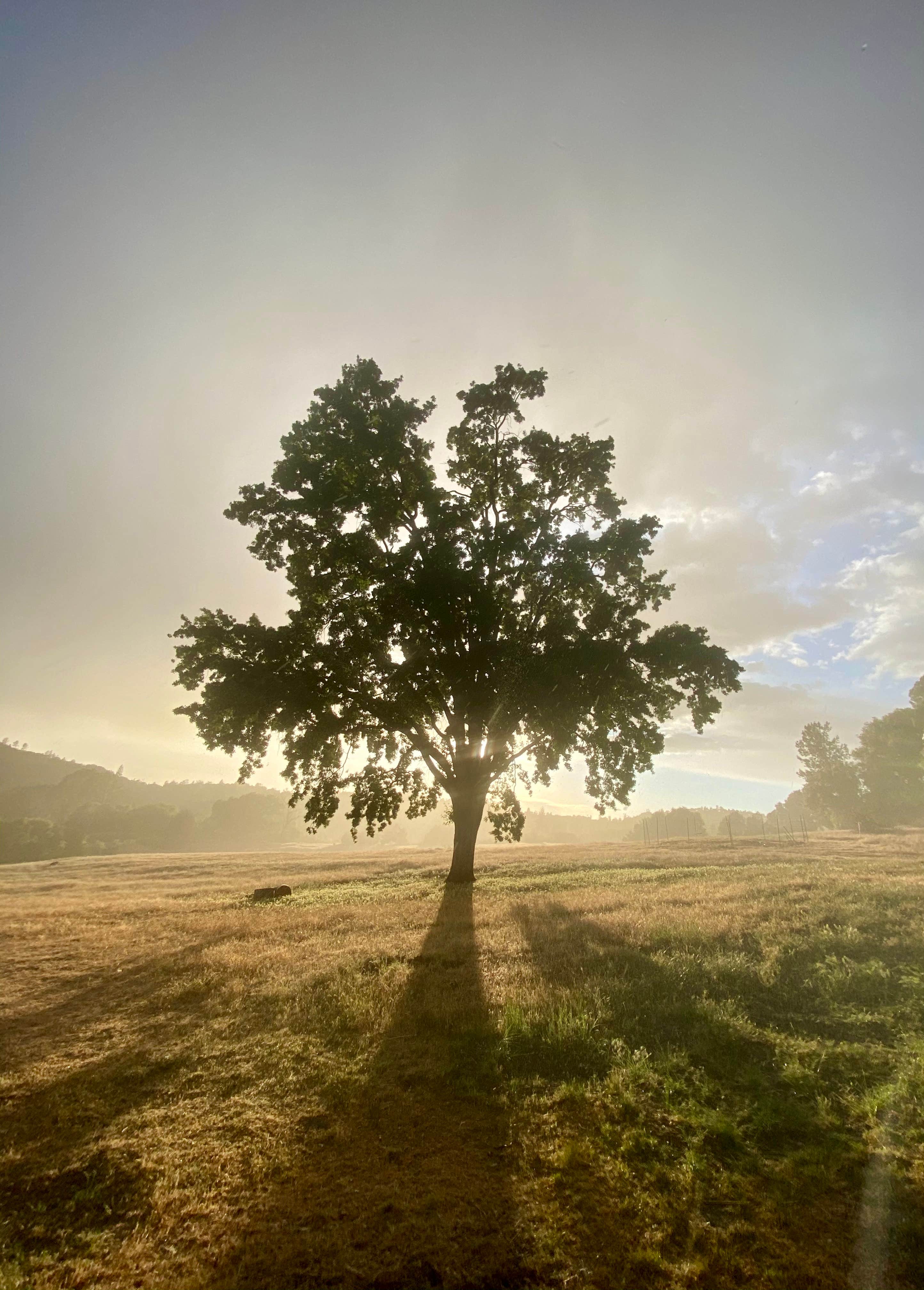 Camper submitted image from Shooting Star Sanctuary and Retreat near Yosemite National Forest - 4