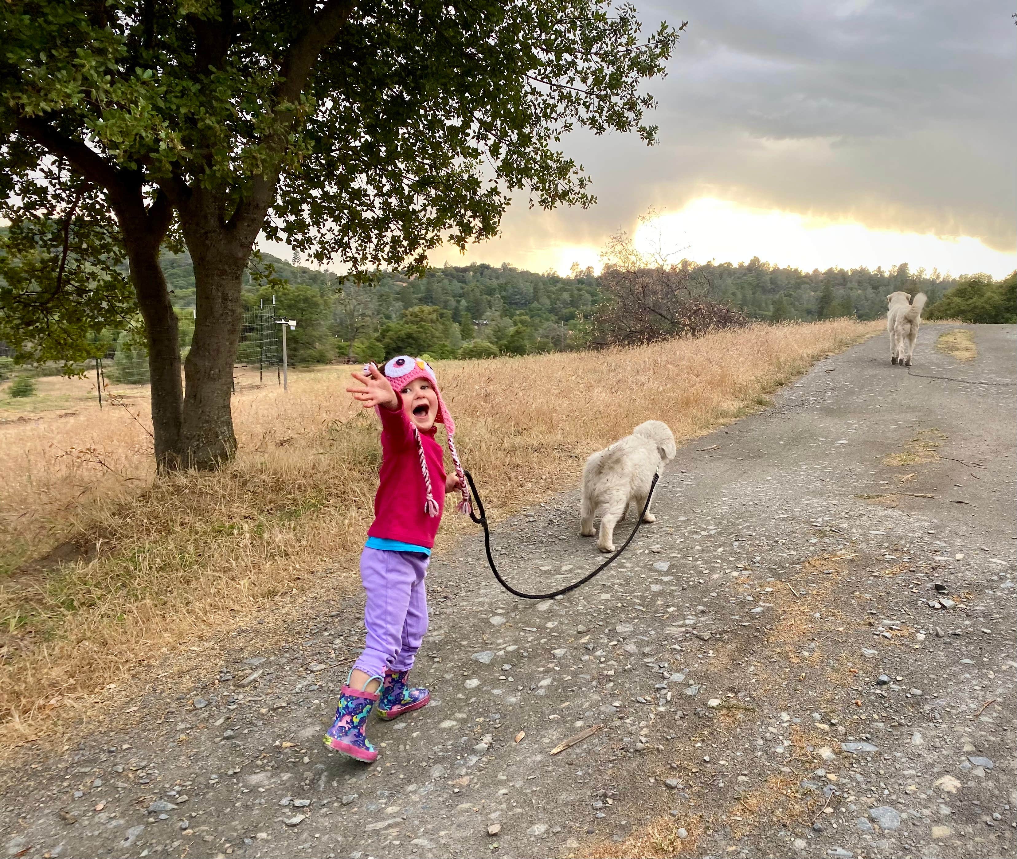 Camper-submitted photo at Shooting Star Sanctuary and Retreat near Yosemite National Forest near Wawona, CA