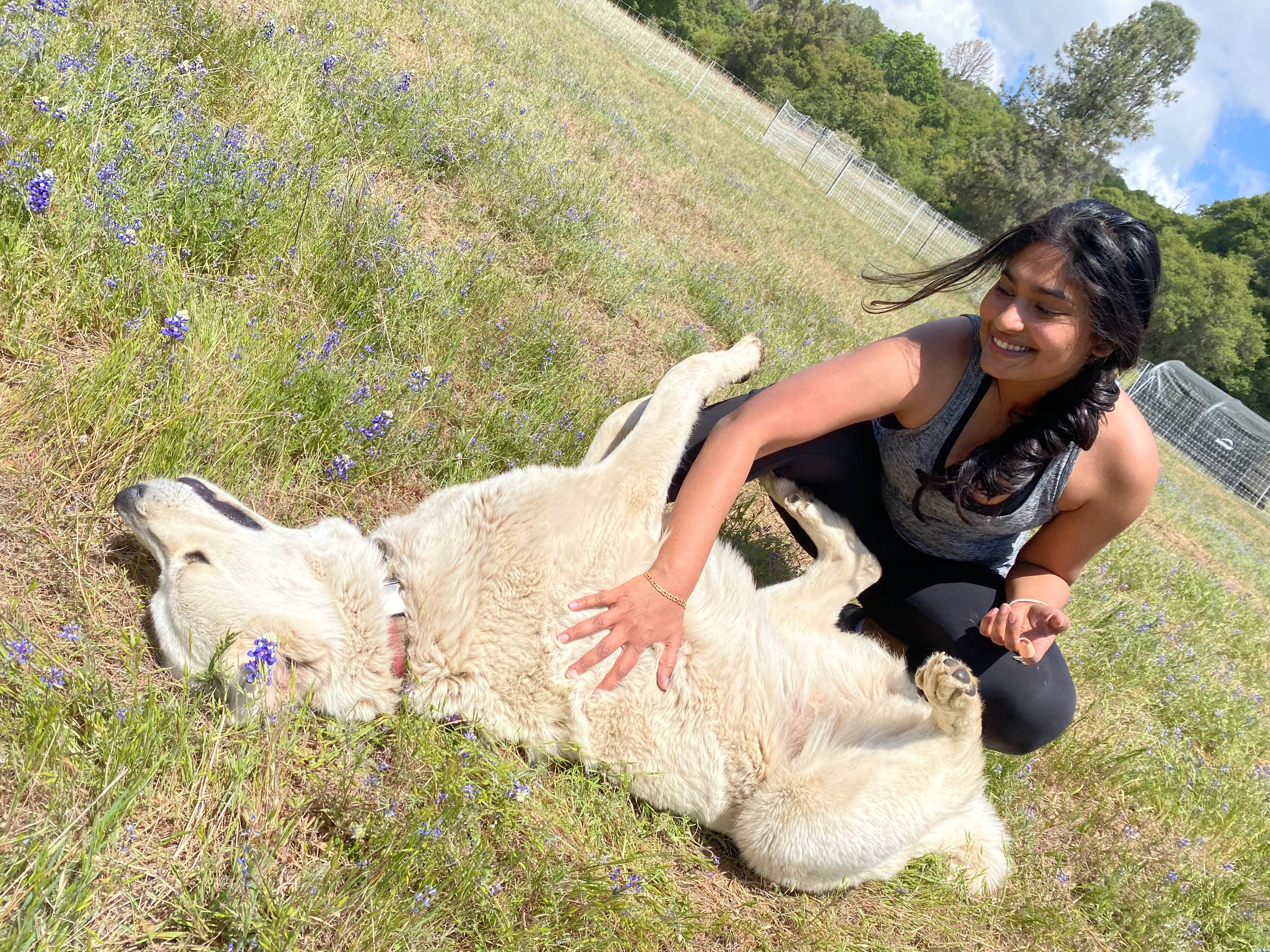 Camper-submitted photo at Shooting Star Sanctuary and Retreat near Yosemite National Forest near Wawona, CA