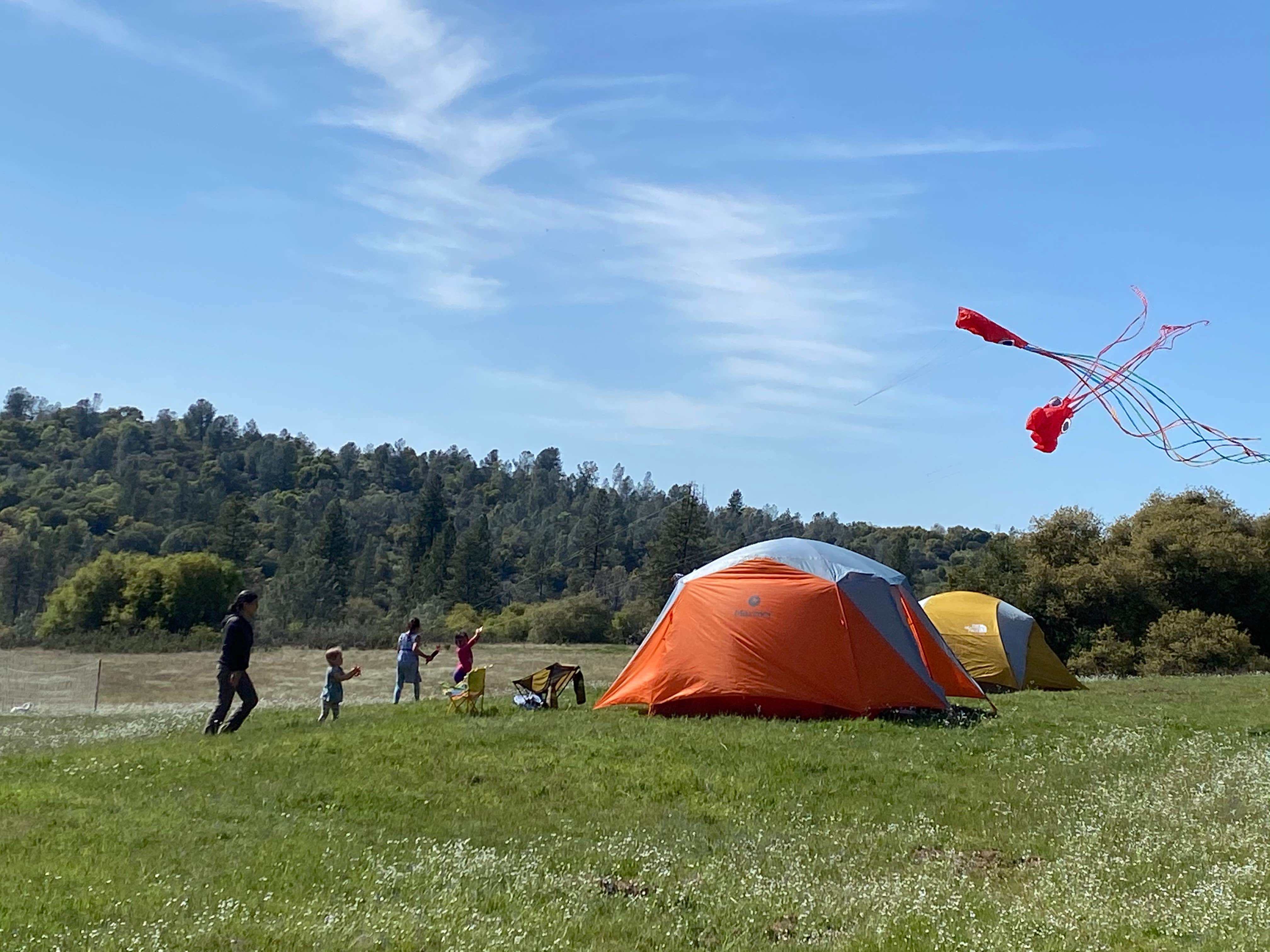 Camper submitted image from Shooting Star Sanctuary and Retreat near Yosemite National Forest - 2