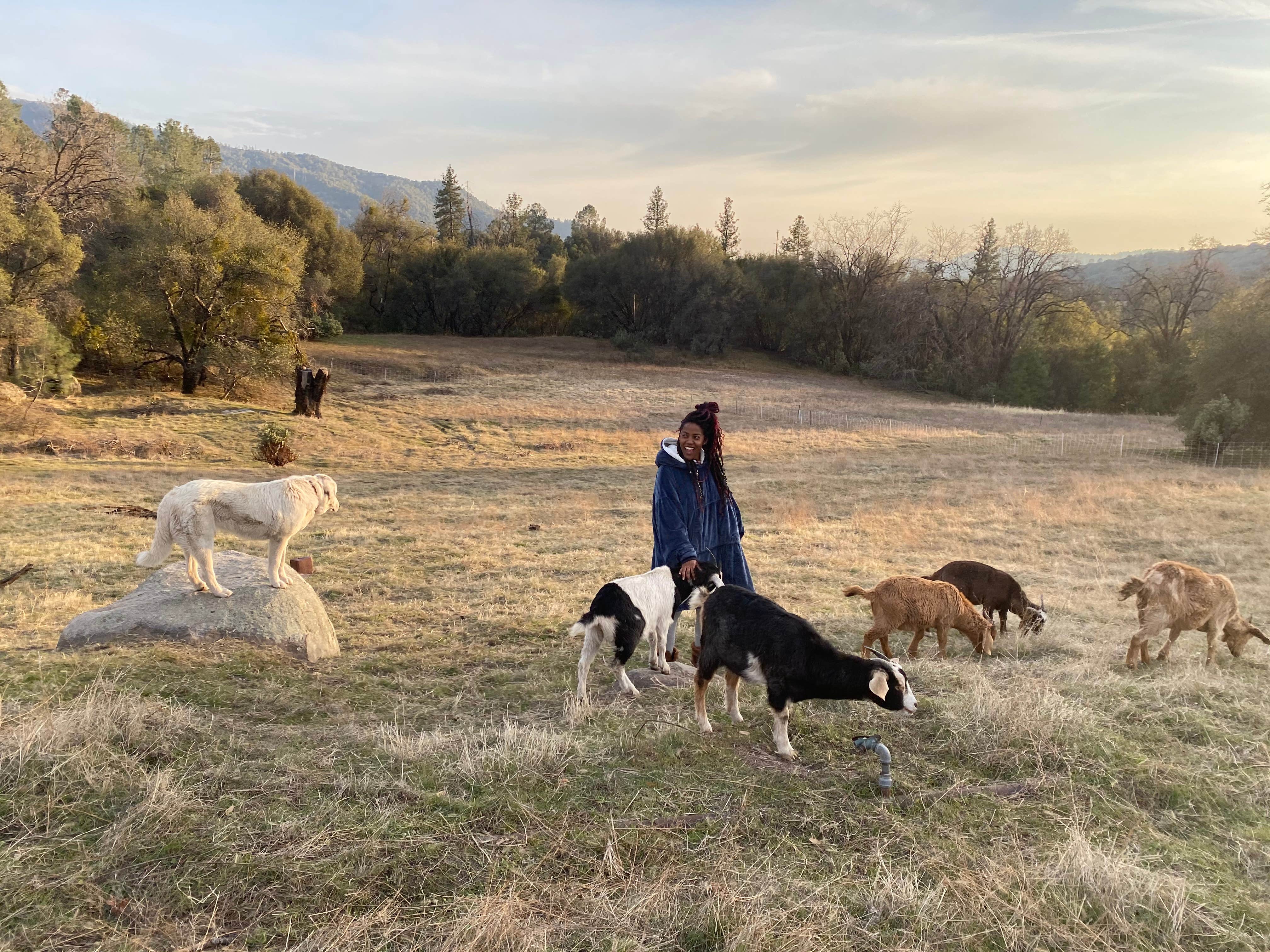 Jason's photo of camping with pets at Shooting Star Sanctuary and Retreat near Yosemite National Forest near Eastman Lake