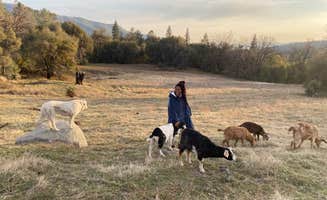 Jason's photo of camping with pets at Shooting Star Sanctuary and Retreat near Yosemite National Forest near Yosemite Valley, CA