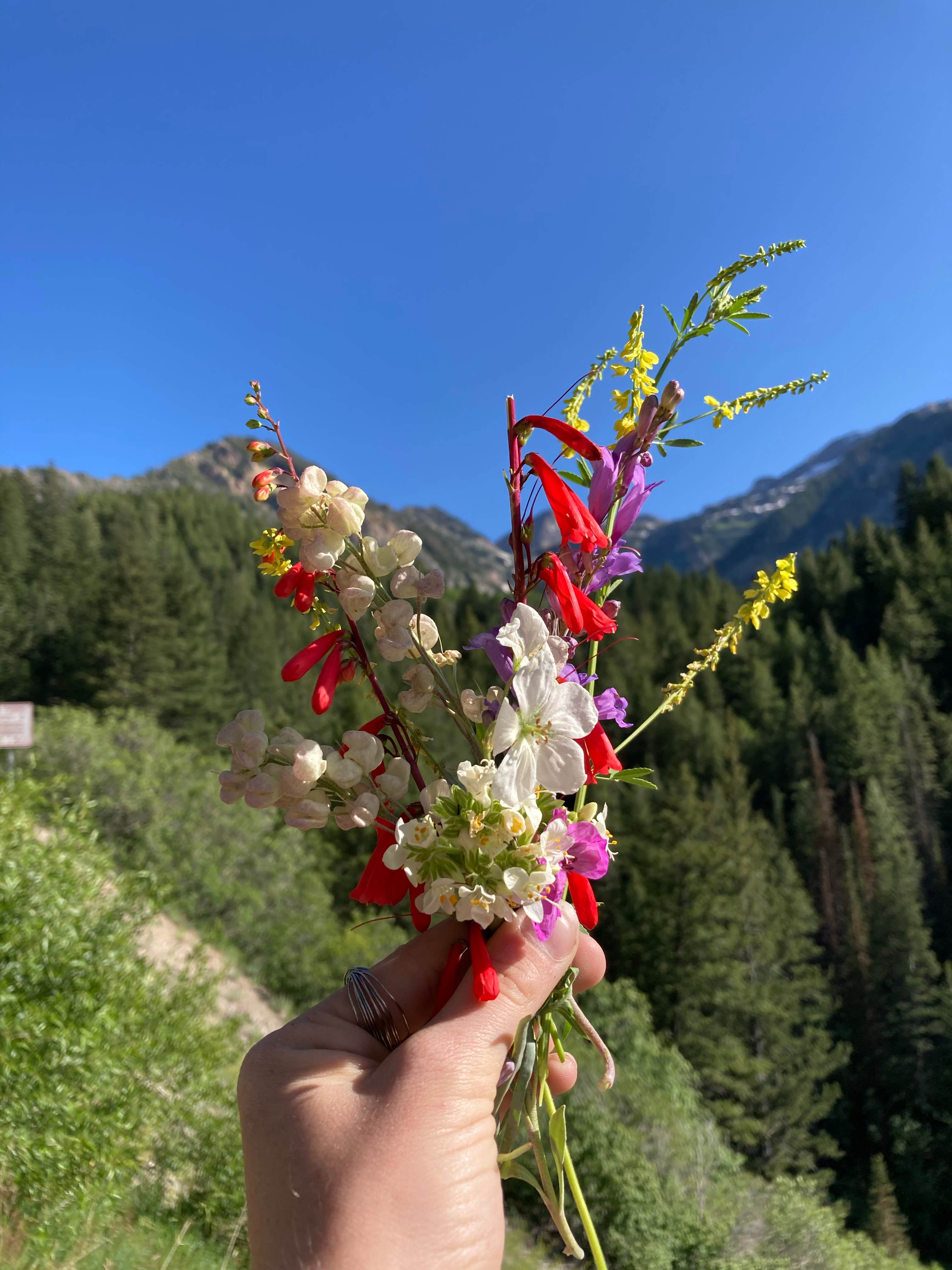 Granite Flat (Utah) The Dyrt