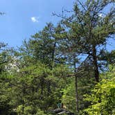 Review photo of Hanging Rock State Park Campground by Erin W., June 4, 2021