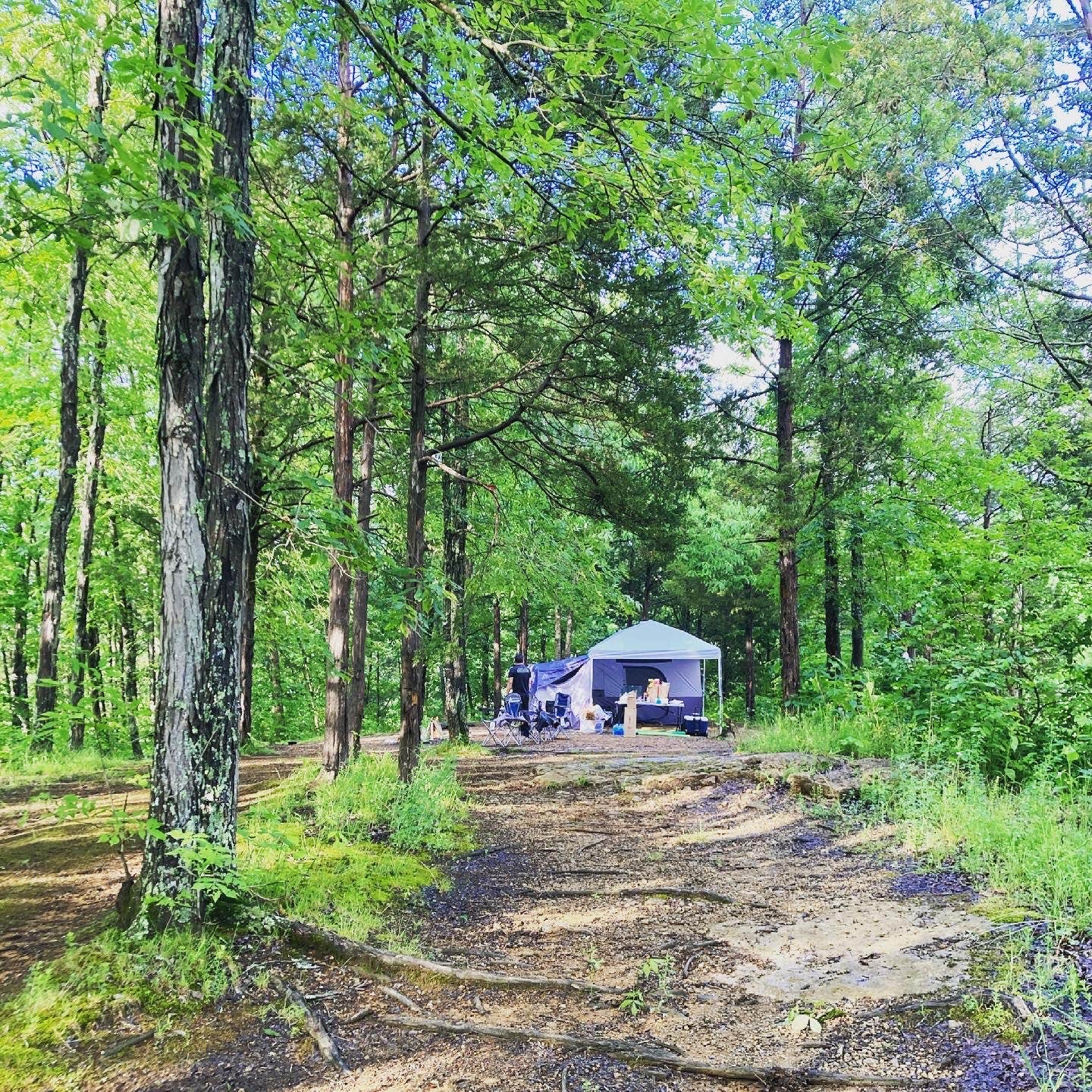 Camper submitted image from Dale Hollow Lake - Primitive Camping — Dale Hollow Lake State Resort Park - 4