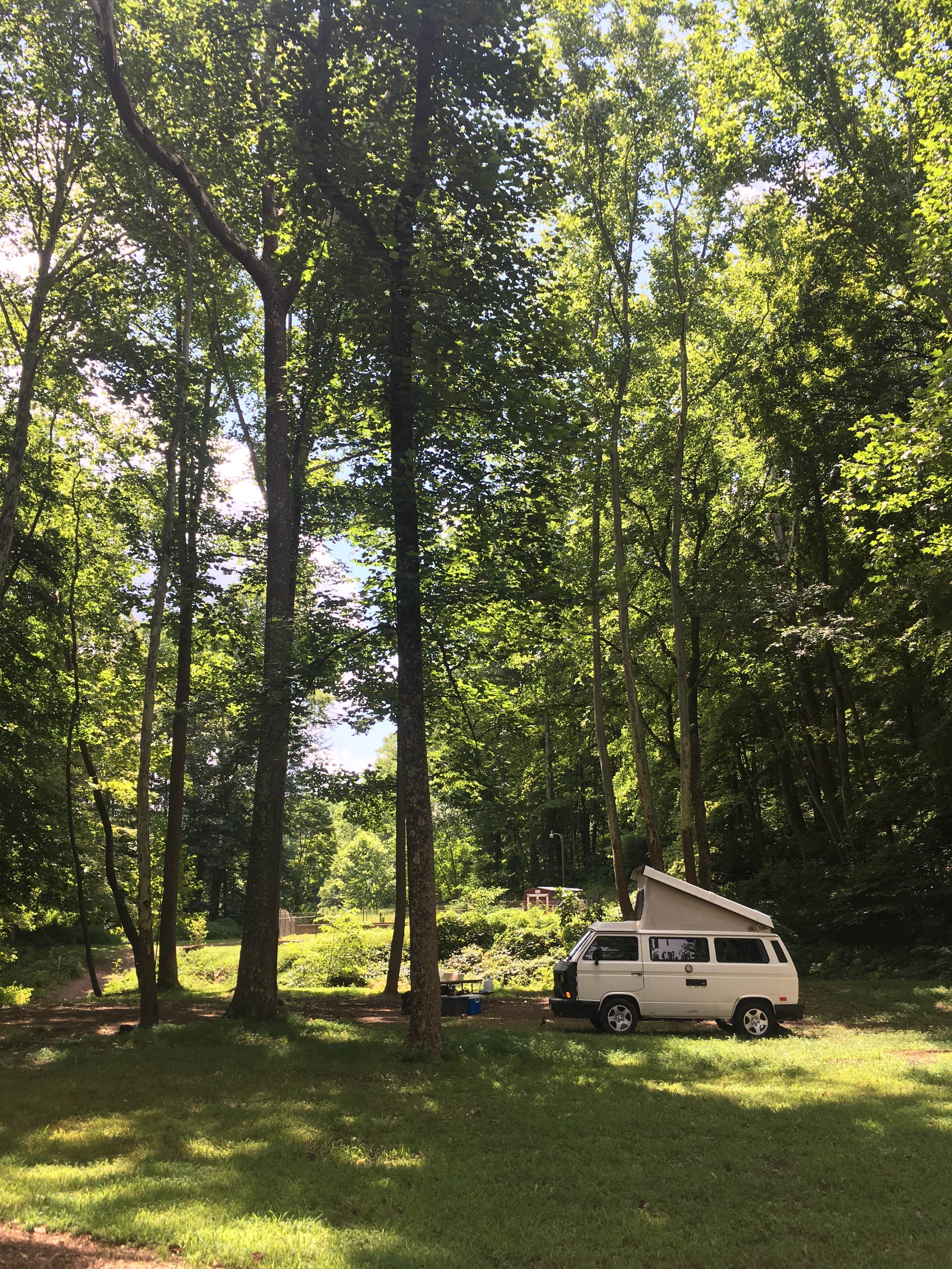 Best dispersed camping in Wayne National Forest The Dyrt