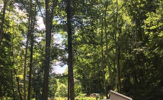 Robert's photo at Tar Hollow State Park Campground near Mount Sterling, OH