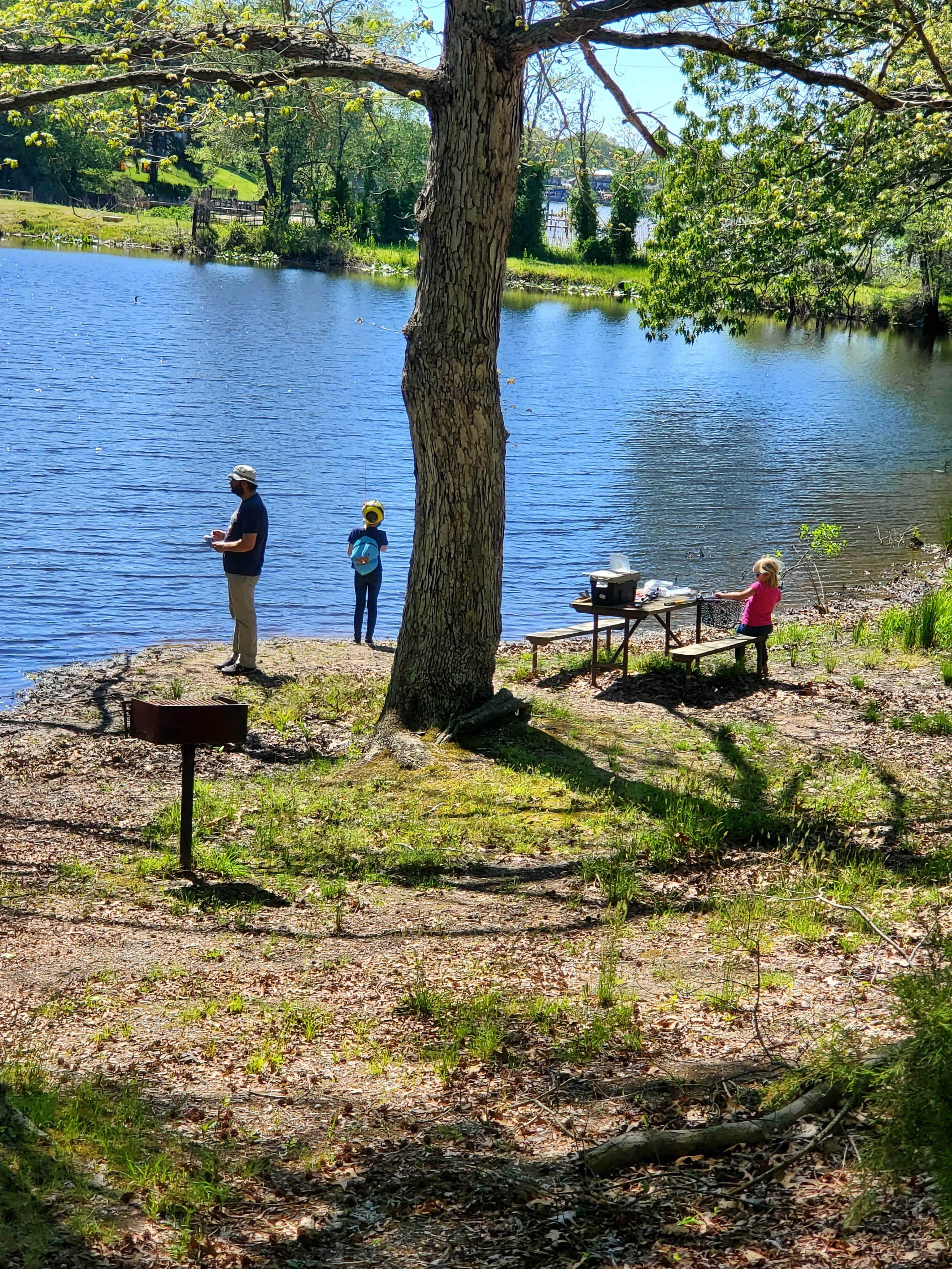 Best camping near Arlington, Virginia The Dyrt