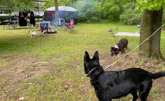 Dakota B.'s photo of camping with pets at Darien Lake Campground near Darien Center, NY