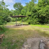 Review photo of Cedar Hill State Park Campground by Stefan M., June 5, 2021