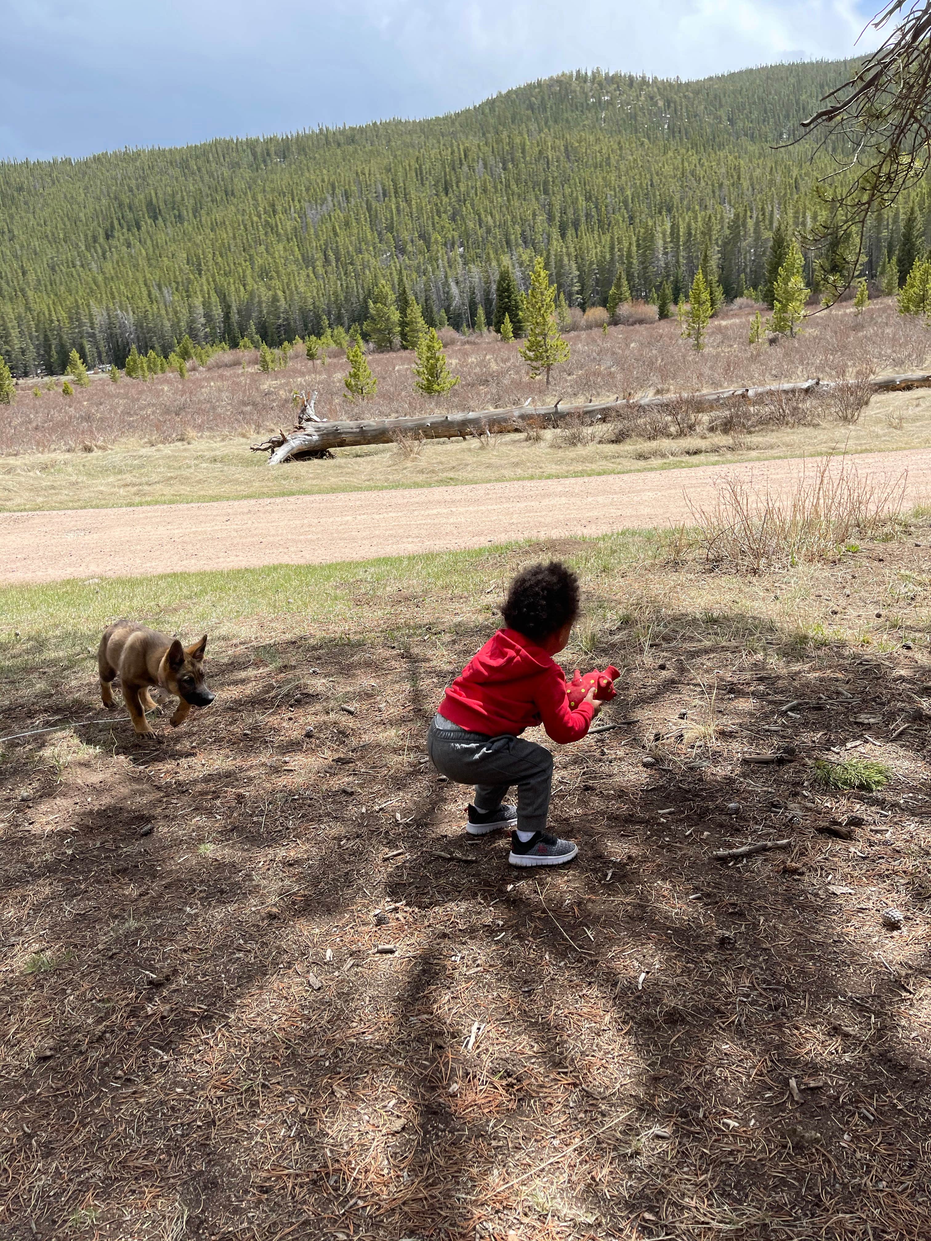 Kylie B.'s photo of camping with pets at Bruno Gulch Dispersed near Jefferson, CO