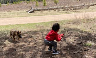 Kylie B.'s photo of camping with pets at Bruno Gulch Dispersed near Jefferson, CO