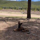 Review photo of Bruno Gulch Dispersed by Kylie B., June 5, 2021
