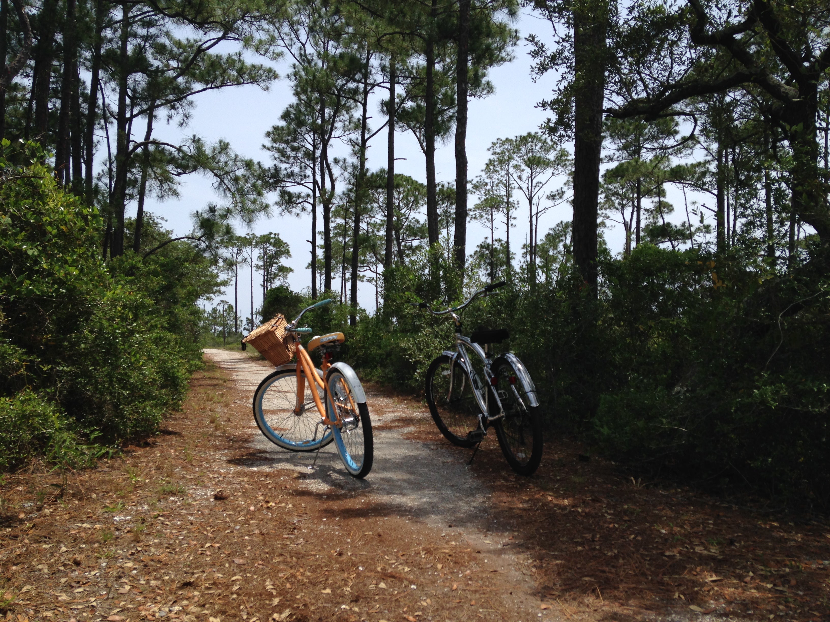 Camper submitted image from Fort Pickens Campground — Gulf Islands National Seashore - 5