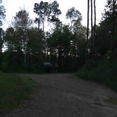 Review photo of Aitkin County Campground by Quinten F., June 7, 2018