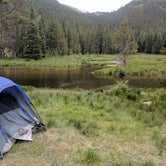 Review photo of North Cottonwood Trailhead Dispersed Camping by Brandon M., June 5, 2021