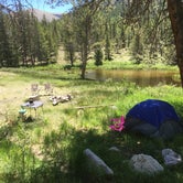 Review photo of North Cottonwood Trailhead Dispersed Camping by Brandon M., June 5, 2021