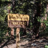 Review photo of North Cottonwood Trailhead Dispersed Camping by Brandon M., June 5, 2021