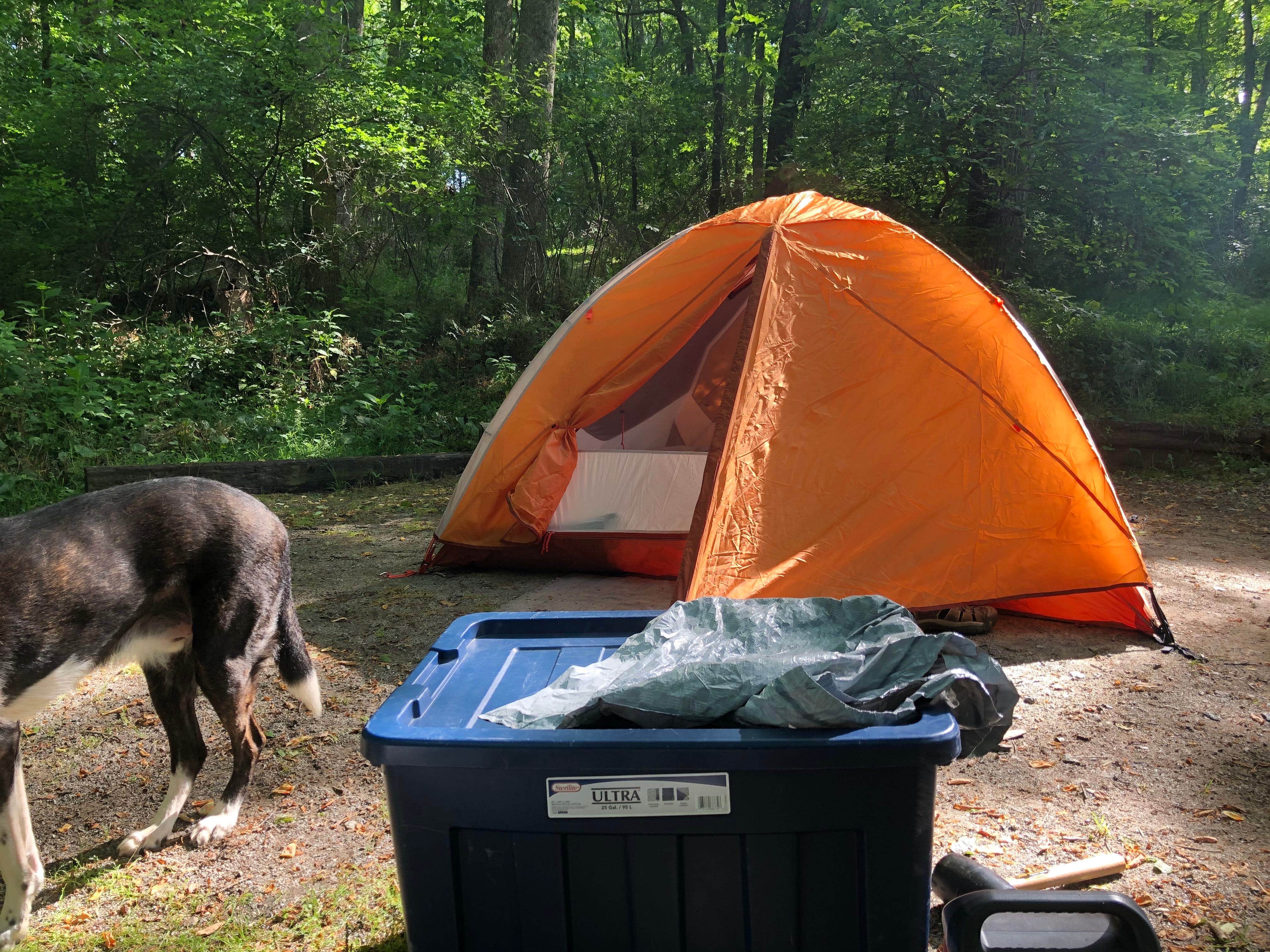 Jill G.'s photo at Campfire Lodgings near Biltmore Forest, NC