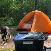 Review photo of Campfire Lodgings by Jill G., June 5, 2021