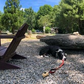 Review photo of Campfire Lodgings by Jill G., June 5, 2021