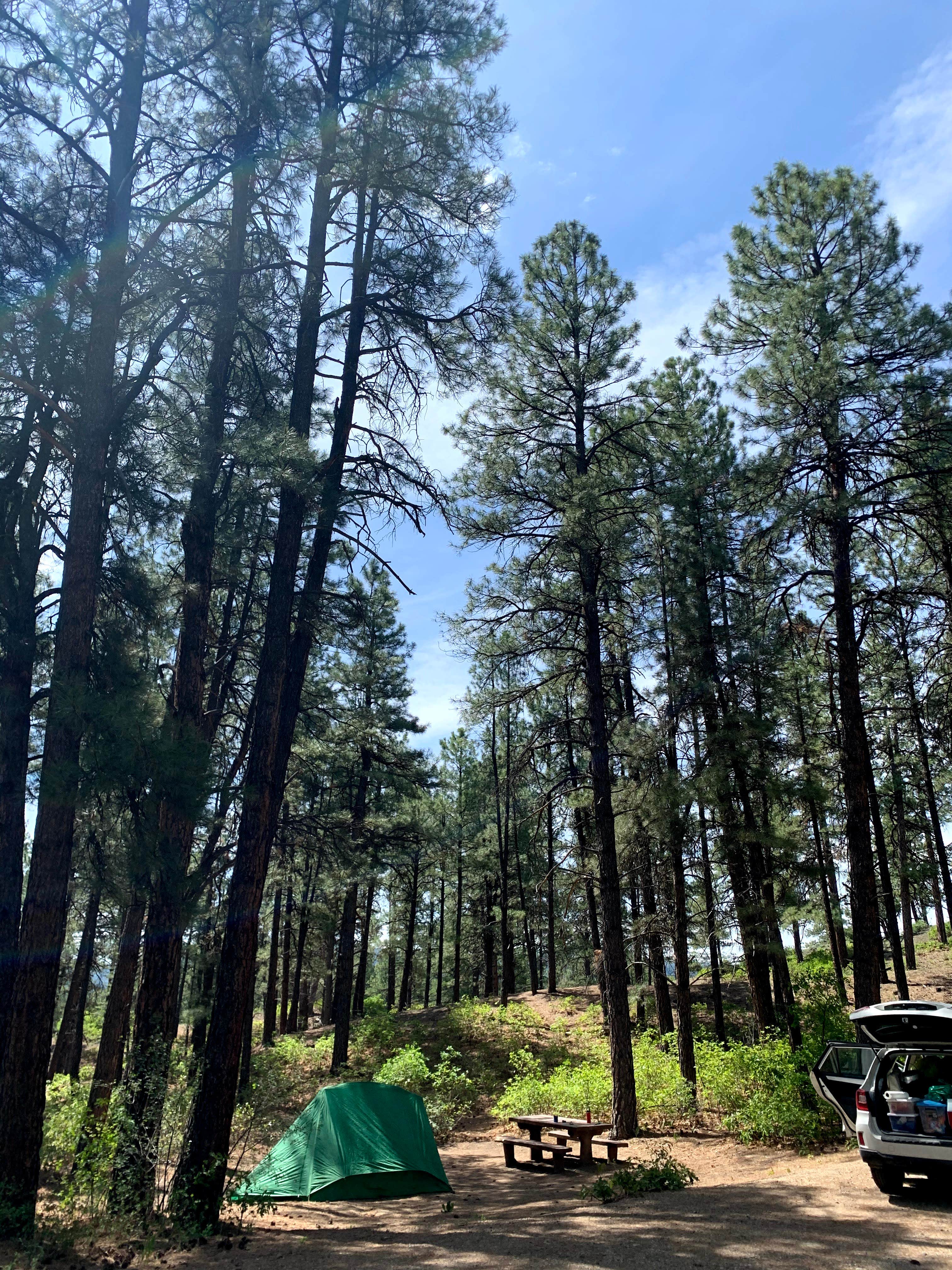 Camper submitted image from Ute Campground - 4