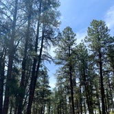 Review photo of Ute Campground by Emma H., June 5, 2021