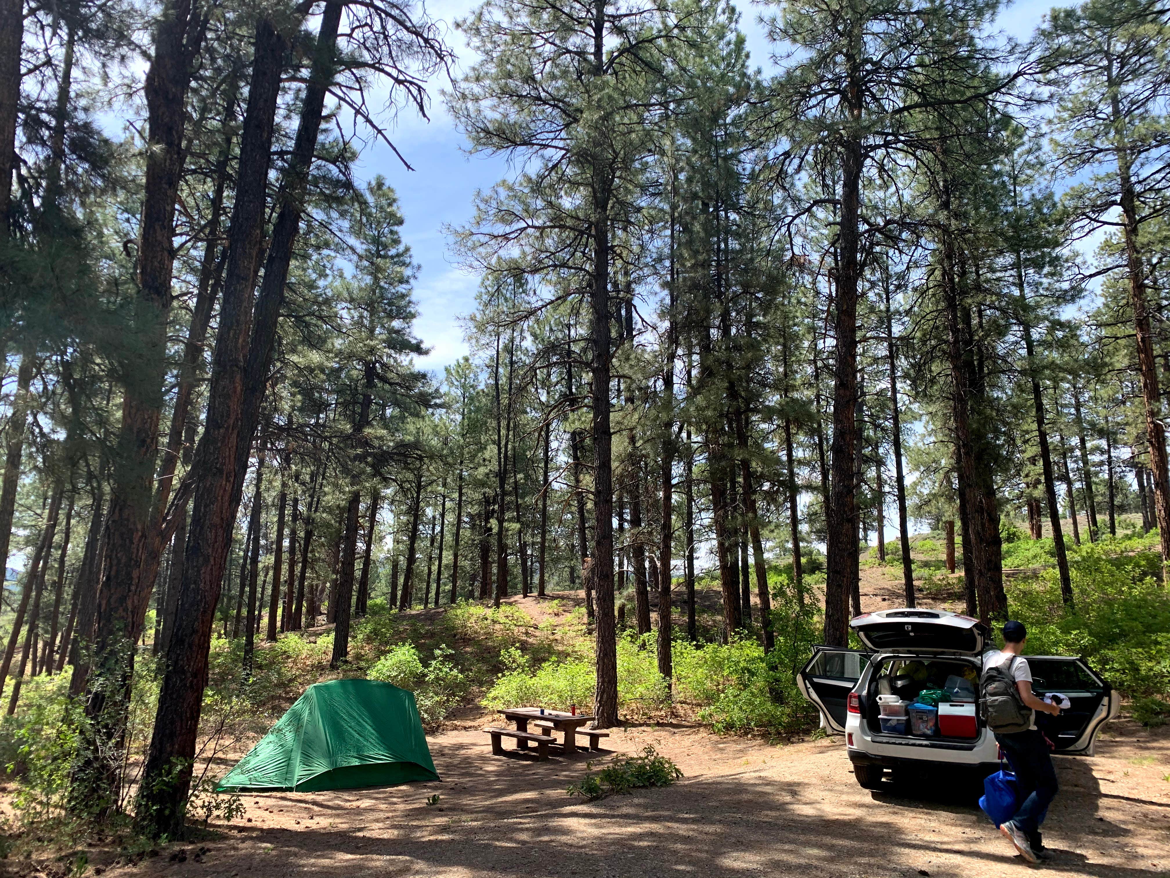 Emma H.'s photo at Ute Campground near Pagosa Springs, CO