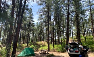 Emma H.'s photo at Ute Campground near Pagosa Springs, CO