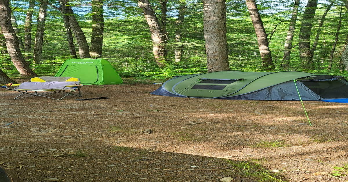 Murrays Lake Primitive Camping Cisco, GA