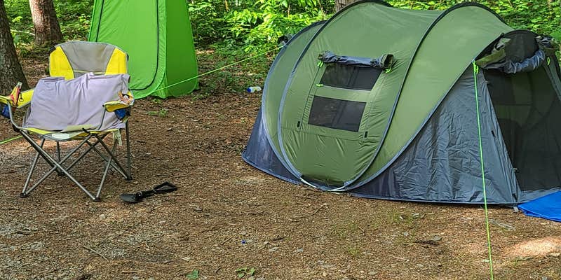 Camper submitted image from Murrays Lake Primitive