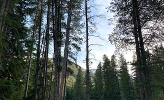 Emma H.'s photo at Oh Be Joyful Campground near Crested Butte, CO