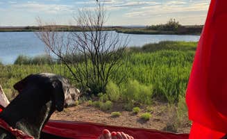 Raquel R.'s photo of camping with pets at McHood Park Campground near Petrified Forest Natl Park, AZ