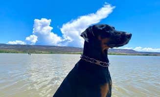 Raquel R.'s photo of camping with pets at Cochiti Recreation Area near Rio Rancho, NM