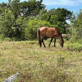 Review photo of Crooked River State Park Campground by Darlene R., June 5, 2021