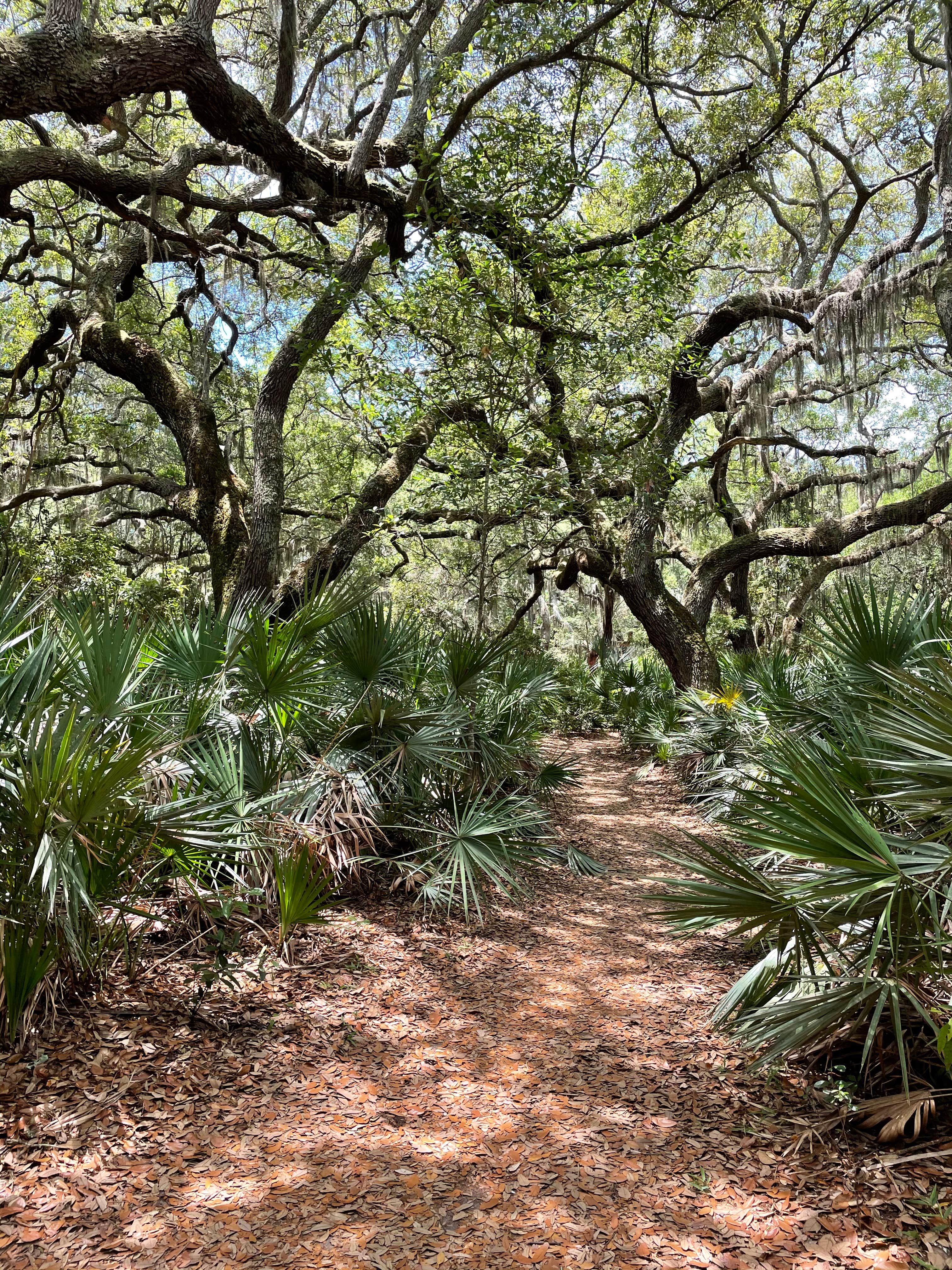 Crooked River The Dyrt