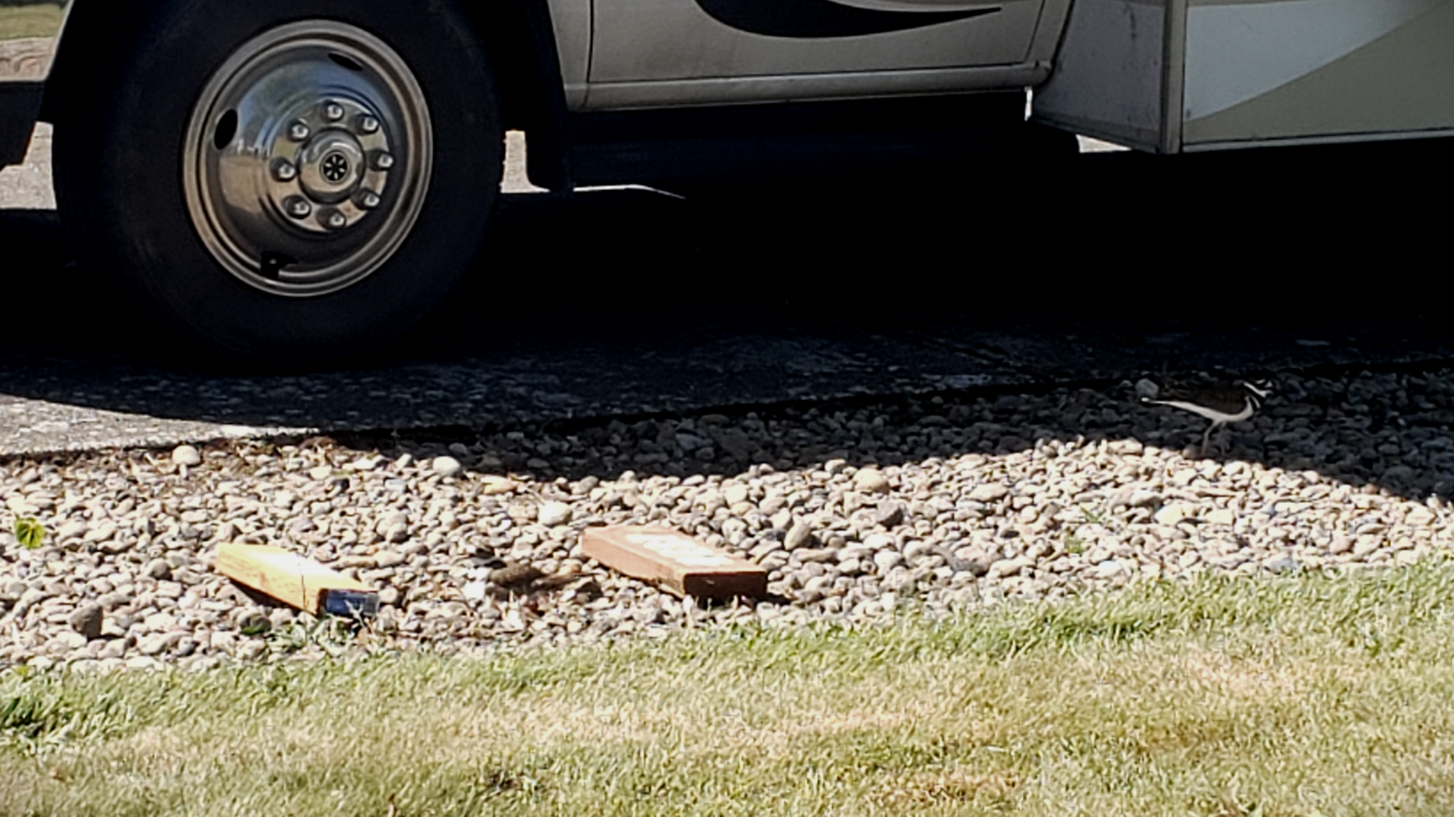 Camping near Camp Kalama RV Park: Brookhollow RV Park, Kelso, Washington