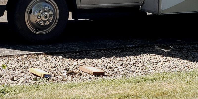 Camper submitted image from Brookhollow RV Park