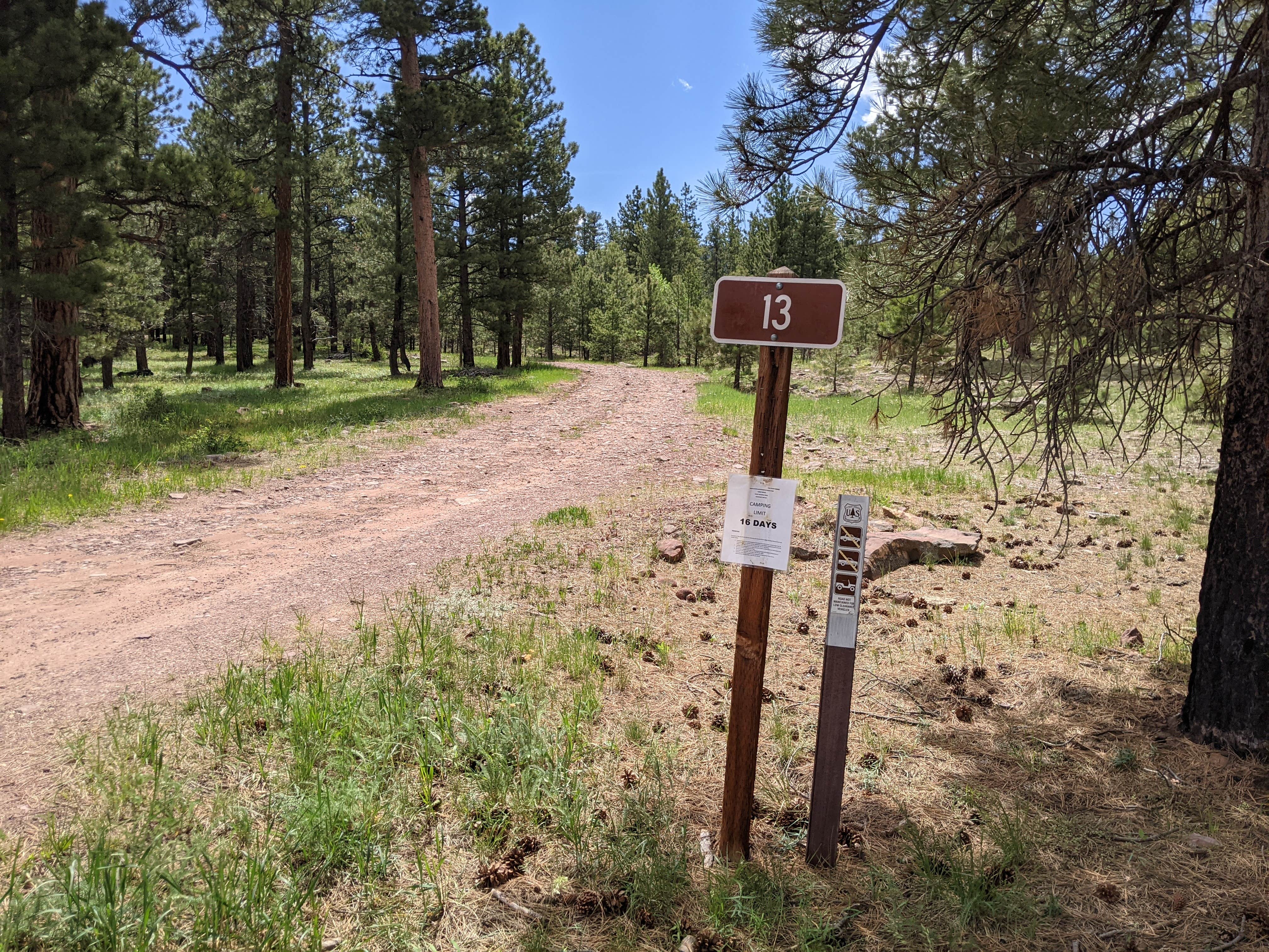 Camping near East Park Campground - Ashley National Forest: Utah Forest Road 13 Dispersed Camping, Ashley National Forest, Utah